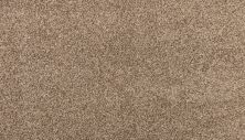 Godfrey Hirst Smartstrand Nelson Bay Bullawai G2232-0858