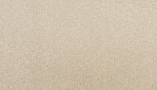 Godfrey Hirst Smartstrand Silk Sublime Style Majestic G2233-0801
