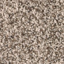 Sp855 Mohawk SP855 Tan RBIS_SP855-06