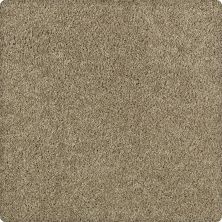 Karastan Smartstrand Gentle Allure Library Oak K8875-9866