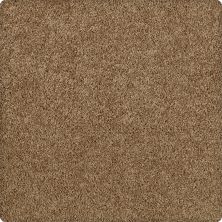 Karastan Smartstrand Gentle Allure Prairie Sunset K8875-9882