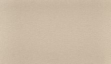 Karastan Smartstrand Polished Trend Canvas K8957-9716