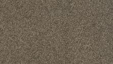 Karastan Smartstrand Delightful Statement Woodland K8966-9825