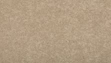 Karastan Smartstrand Maison Luxe Haven K8986-9755