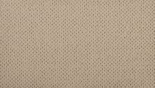 Karastan Smartstrand Kinetic Detail Beeswax K9008-9721