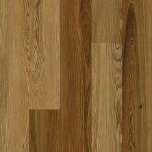 Karastan Refined Forest Cedar KHS01-445