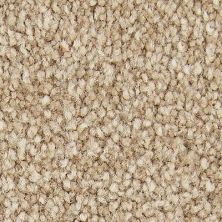 Mohawk Smartstrand Exceptional Choice Honeycomb 3A03562A1200