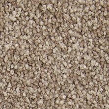 Mohawk Smartstrand Exceptional Choice Timberlane 3A03560A1200