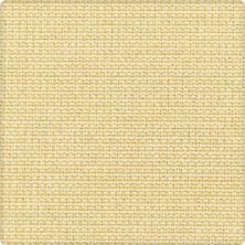 Karastan Gingham Stitch Butterfly 41212-29424