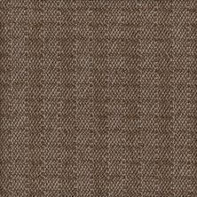 Karastan Berwick Tweed Peat Smoke 41216-29529