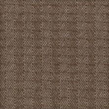 Karastan Berwick Tweed Peat Smoke 41216-29529