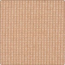 Karastan Bergeron Peach Parfait 41508-29328