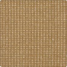 Karastan Bergeron Inca Gold 41508-29551