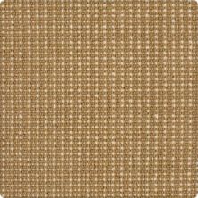 Karastan Bergeron Inca Gold 41508-29551