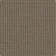 Karastan Woolcheck Classics Mint Java 41563-29552