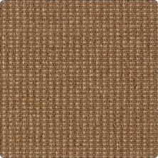 Karastan Woolcheck Classics Newton Caramel 41563-39536