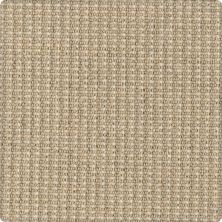 Karastan Woolcheck Classics Heathered Ivory 41563-39851
