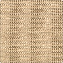 Karastan Wool Crochet Au Lait 41818-29459
