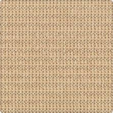 Karastan Wool Crochet Au Lait 41818-29459