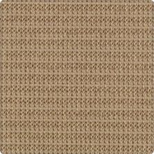 Karastan Wool Crochet New Khaki 41818-29851