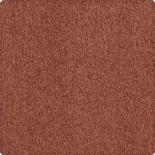Karastan True Colors Texture and Shag Cinnamon Luster 1Y84-9282