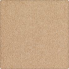 Karastan Indescribable Remarkable Beige 43495-9752