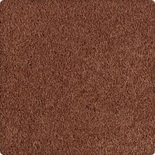 Karastan Excellent Selection Polished Copper 63499-6278