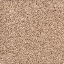 Karastan Simply Brilliant Texture and Shag Whole Grain 2A67-9748