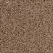 Mohawk Exceptional Approach Colonial Brown 78051-3868