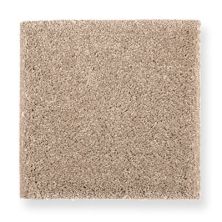 Shop Mohawk Pleasant Nature Pearl Glaze 2C98-533 Carpet | Bassett Carpets