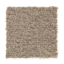 Mohawk Scenic Look Brushed Suede 2C47-859