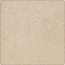 Karastan Somerset Cove Coastal Beige 43531-9719