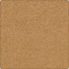 Karastan Somerset Cove Rustic Brass 43531-9861