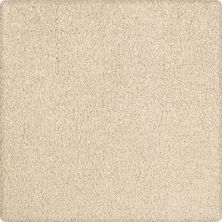 Karastan Elegantly Soft Wisdom 43599-9728