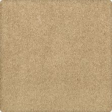 Karastan Elegantly Soft Flaxen 43599-9741