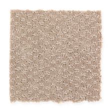 Mohawk Free Style Patterned Cut Pile Biscotti 2H15-515