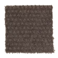 Mohawk Luxurious Moment Patterned Cut Pile Earthworks 2H04-506