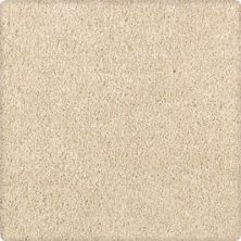 Karastan Delicate Appeal Texture and Shag Parchment 70895-3720