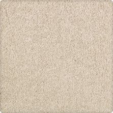 Karastan Enhanced Beauty Warm Sand 43603-9722