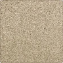 Karastan Delicate Appeal Texture and Shag Bamboo 70895-3731
