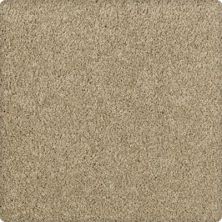 Karastan Expressive Palette Antelope K8867-9758