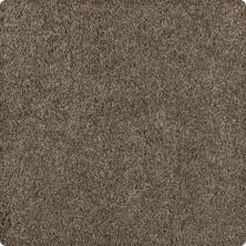 Karastan Delicate Appeal Texture and Shag Bali Brown 70895-3878