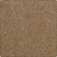Karastan Delicate Appeal Texture and Shag Burnished Copper 70895-3882