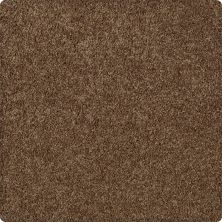 Karastan Enhanced Beauty Canvas Rust 43603-9898