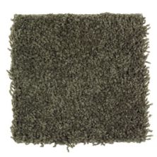 Mohawk Waterview Mossy Border 2G89-503