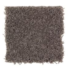 Mohawk Waterview Dried Peat 2G89-504
