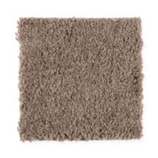 Mohawk Soothing Design Dried Peat 2G48-858
