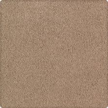 Karastan Luxurious Beauty Whole Grain 43629-9768