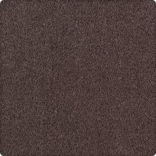 Karastan Luxurious Beauty Antigua Brown 43629-9879