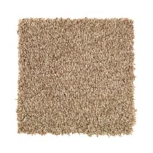 Mohawk Natural Accents II Wild Cattail 2N85-846
